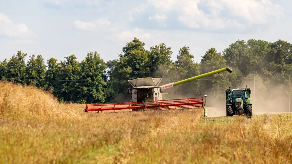 Ernte Landwirtschaft Deutschland